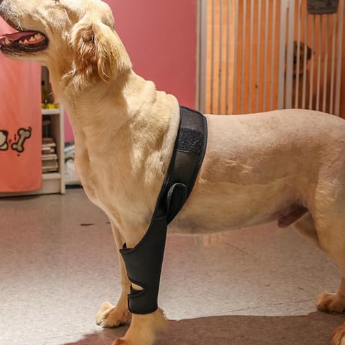 Teksome Hüftbandage für Hunde – Hunde-Kniestütze für schnellere Genesung, Hüftgelenk-Bandage für Kreuzbandrisse, Patella-Luxation, Arthrose, Limping von Gelenkschmerzen, Hüftdysplasie