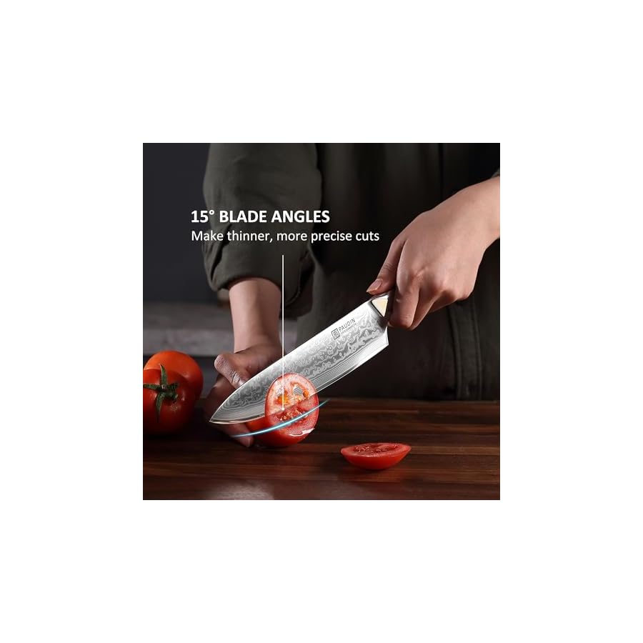 PAUDIN Damascus Chef Knife, 8 Inch Kitchen Knife, 67 Layers Damascus Steel Knife Japanese VG10 Core, Professional Chefs Knife with Ergonomic G10 Handle