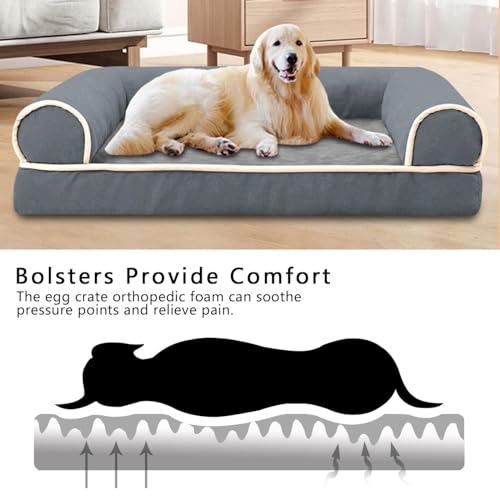 Mascotas, Pet Products Imagen adicional