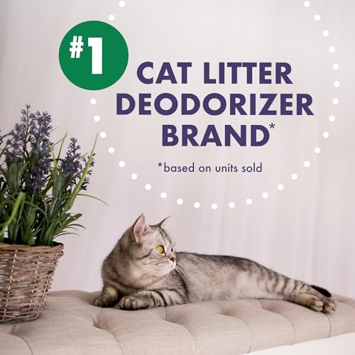 Image of Arm & Hammer Forever Fresh Cat Litter Deodorizer, Wild Lavender, Essential Oils, Baking Soda Odor Neutralizer, 30 oz. Pack of 6 (Packaging May Vary)