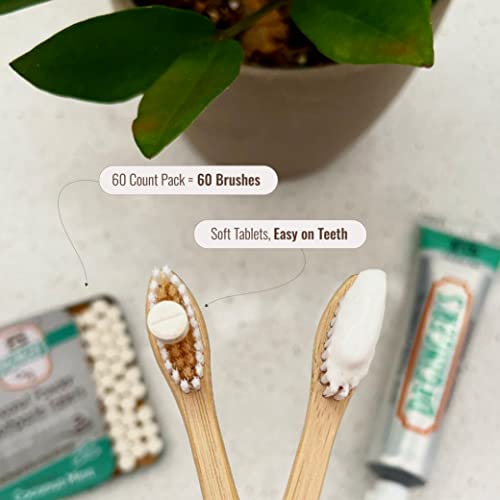 Dr. Ginger's White Charcoal Toothpaste Tablets, Eco-Friendly Travel Chewable Tabs For Whitening, Fresh Breath, & Gum Support, Enamel-Safe, Coconut Mint Flavor, Fluoride-Free 0.75Oz Tin, 60 Tablets #TOP2