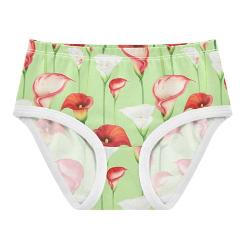 Funny Girls Underwear Toddlers 2t Cotton Cute Panties Girl Red White Calla Lilies Light Green Briefs Underpants