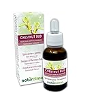 Chestnut bud o Castaño de Indias brotes (Aesculus hippocastanum) Remedios florales Naturalma - Gotas 30 ml - Extracto líquido sin alcohol - Esencias florales - Vegano y libre de alcohol