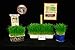 Clever sprouts Marley's Cat Grass 1 lb Organic & Non-GMO Wheat Grass + A Free Bag with Each Order + 2