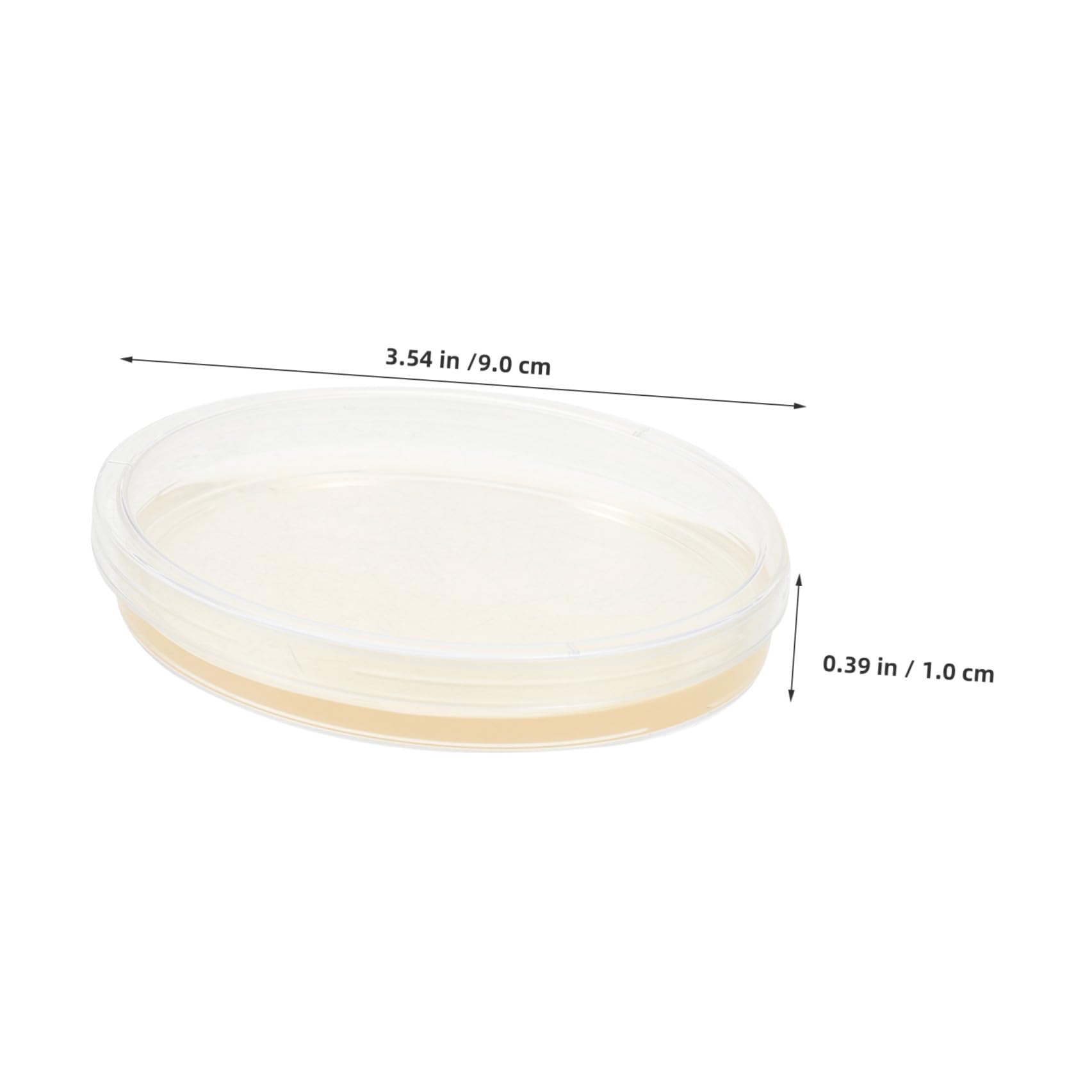 HEMOTON 20 Pezzi Piastre di Petri Agar Nutritivo Preprefatto 9 Cm Rotonde in Plastica Ps per Esperimenti Scientifici di Laboratorio e Coltivazione di Funghi