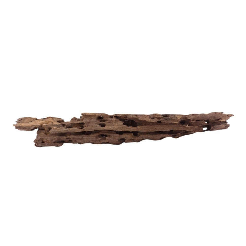 Raíz de acuario XL Honey Comb Nº 1966 - Raíz de manglar, decoración de acuarios, paisaje, espuma natural, de madera auténtica