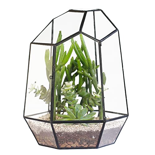 NCYP 25 cm Kleines Geometrisches Terrarium mit Tür, Schwarzer Unregelmäßiger Glas-Übertopf, Sukkulenten-Kakteen-Blumentopf, Heim-Garten-Dekoration, DIY-Geschenk (Ohne Pflanzen und Requisiten)