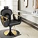 Hicomony Barber Salon Chair for Hair Stylist, Styling Hair Salon Chair with Professional Hydraulic PUM, Multi-Function Shampoo Chair Beauty Salon Brading Hairdresser Chair (Black)