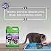 Cat's Pride Max Power: Total Odor Control - Up to 10 Days of Powerful Odor Control - Strong Clumping - 99% Dust Free - Multi-Cat Litter, Scented, 15 Pounds