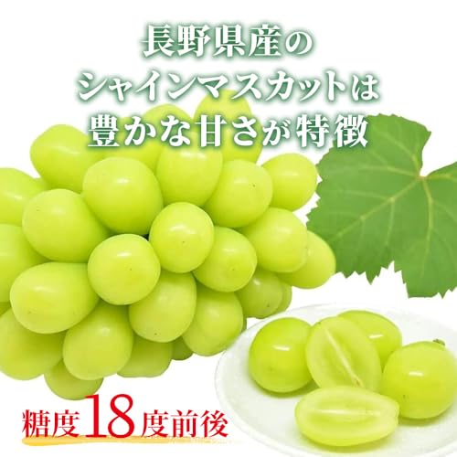 FRESH FRUITS\NISHIMURA シャインマスカット 2房(1kg前後) の商品画像 2