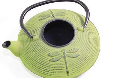 Iron Teapot ~ Japanese Antique 24 Fl Oz Green Dragonfly Cast Iron Teapot Tetsubin With Infuser Gift/Birthday Gift/Kitchen/Teapot/Idea For Gift We Pay Your Sales Tax #TOP4