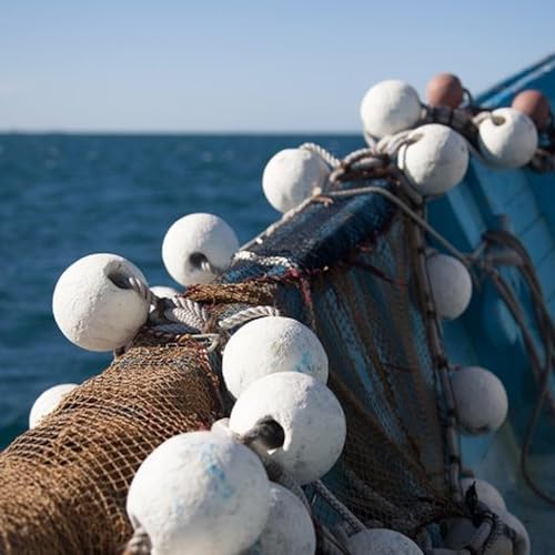 Opposition wants to go back to the drawing board on Demersal fishing ban