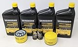 Briggs & Stratton 810cc Vanguard (2-Pack) 15W-50 Synthetic Engine Oil Change with...