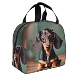 HJLUUFT Niedliche Dackel-Duggee-tragbare Lunch-Tasche mit Stich-Motiv, isolierte Kühltasche für Bento-Lunchbox, i ...