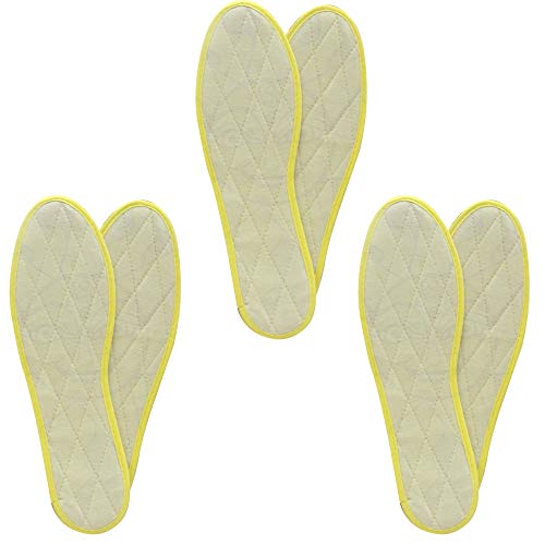 Zimtsohlen: Test & Empfehlungen (01/23) - MEDMEISTER