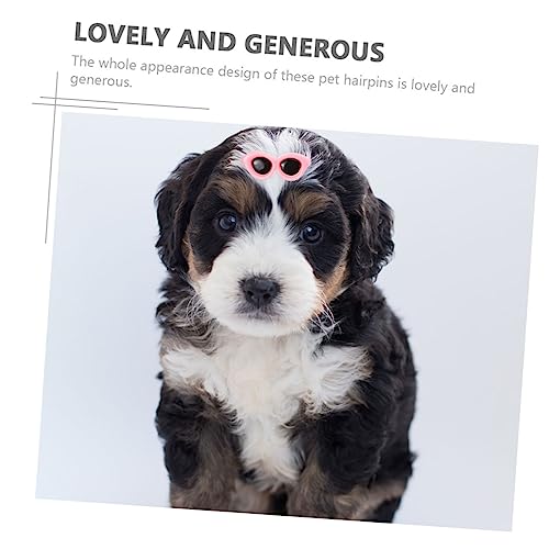 TOYANDONA 12stücke Teiliges Bunte Sonnenbrillen-haarklammern Für Haustiere Niedliche Clips Geeignet Für Katzen Und Hunde Festigende Kopfbedeckung Für Party Und Fotoshooting