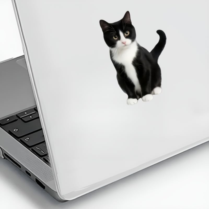 Waterproof Vinyl 5.5 Inch cat Sticker, Car Stickers, car Decals, Bumper Stickers, Decals for Vehicles, 2-Pack, Easy to Apply & Remove, for Car, Laptop, Door, Wall Decoration - Image 6