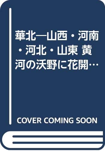 気の曼陀羅　道教からチベット医学まで　池上 正治 気の曼陀羅 道教からチベット医学まで 池上 正治 気の曼陀羅