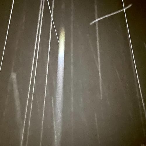 19 January 2026 cover art