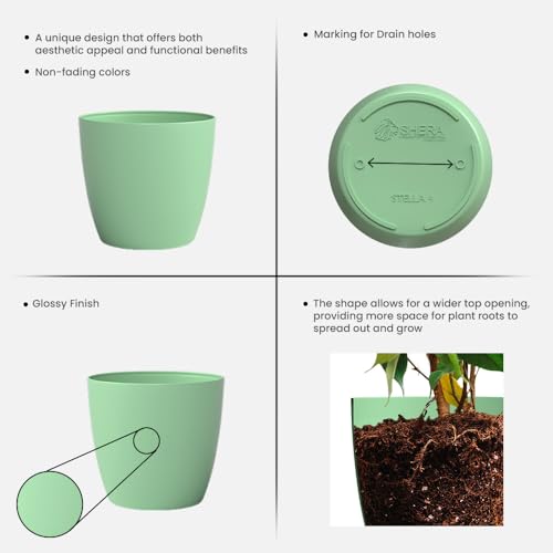 Image of YUCCABE ITALIA SHERA Stella 5 Inch Plastic Plant Pot for Home Decor Indoor Plant Pots for Living Room Plastic Flower Pot for Garden (Aqua, 5 INCH - 6 Pcs)