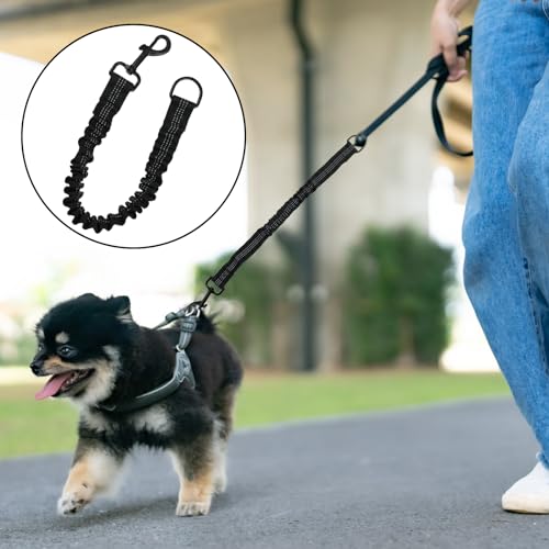 Elastische Hundeleine Mit Ruckdämpfer - Bungee Leine Für Kleine, Mittelgroße Und Große Hunde - Leinenverlängerung Mit Zugdämpfung, Nicht Verwickelnd - Hundetrainingsleine Schwarz