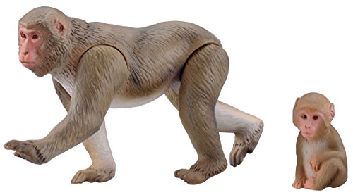 アニア 干支アニア 申 ニホンザル