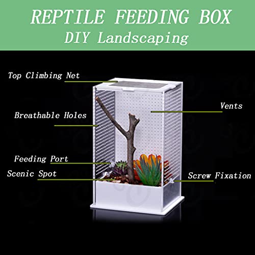 VOVEY Transparante Reptiel Voeding Doos Ademend Acryl Insect Fokken Doos met Klimmen Net Reptiel Fokken Case voor Mini… - Afbeelding 5