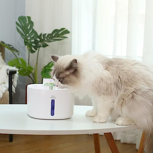 2.6L Fonte para animais de estimação, bebedouro automático para gatos, bebedouro para cães com bomba