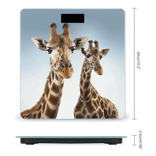 Báscula digital para baño con vidrio templado y pantalla LCD miniatura 2