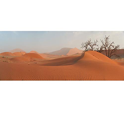 AWERT 120 x 61 cm, sfondo arancione del deserto