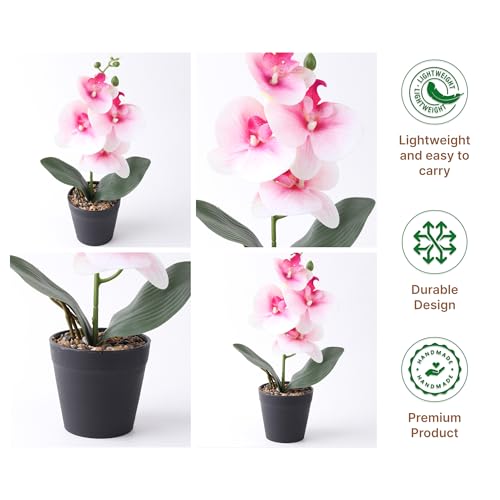 Image of Habere India-All the Cultures Fabricating India Pink Moth Orchid Artificial Plant with Pot for Home Decor | Small Fake Flower Plants for Living Room & Indoor Decoration (Design01: L9 x W9 x H31 cm)