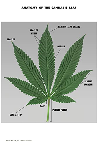 The Grower's Journal: A Cannabis Cultivator's Daily Planner