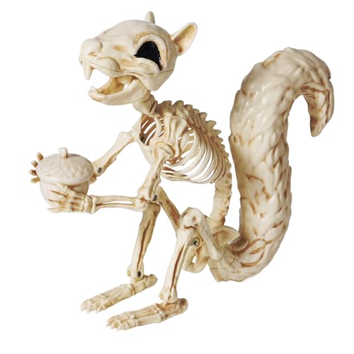JOYIN Squirrel Skeleton Halloween Decoration 9.1 Inch Animal Posable Skeletons Movable Joints Plastic Bones with Pine Cones for Halloween Haunted House Decor Spooky Scene Garden Patio Party Prop