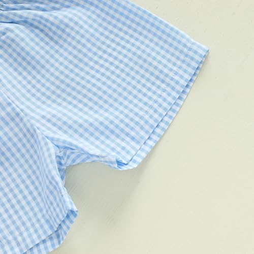 Image of Toddler Baby Boy Easter Rabbit Outfit Short Sleeve Bunny Carrot Smocked T-shirt Elastic Waist Shorts Summer Clothes