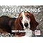Basset Hound