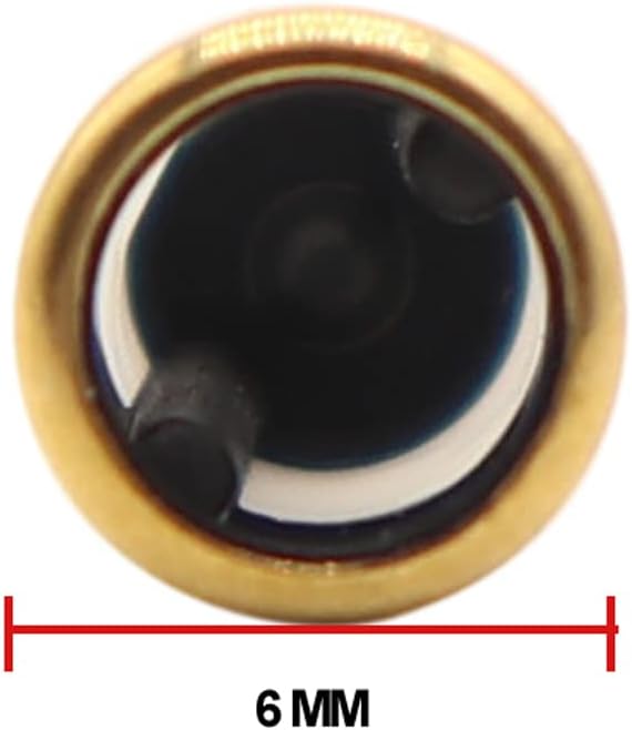 Fuel Injector Repair Kit 101 Micro Filter Basket Filter for multiple brands [6mm x 3mm x10.7mm] Haneex Repair Seal Kits [50 Pcs]