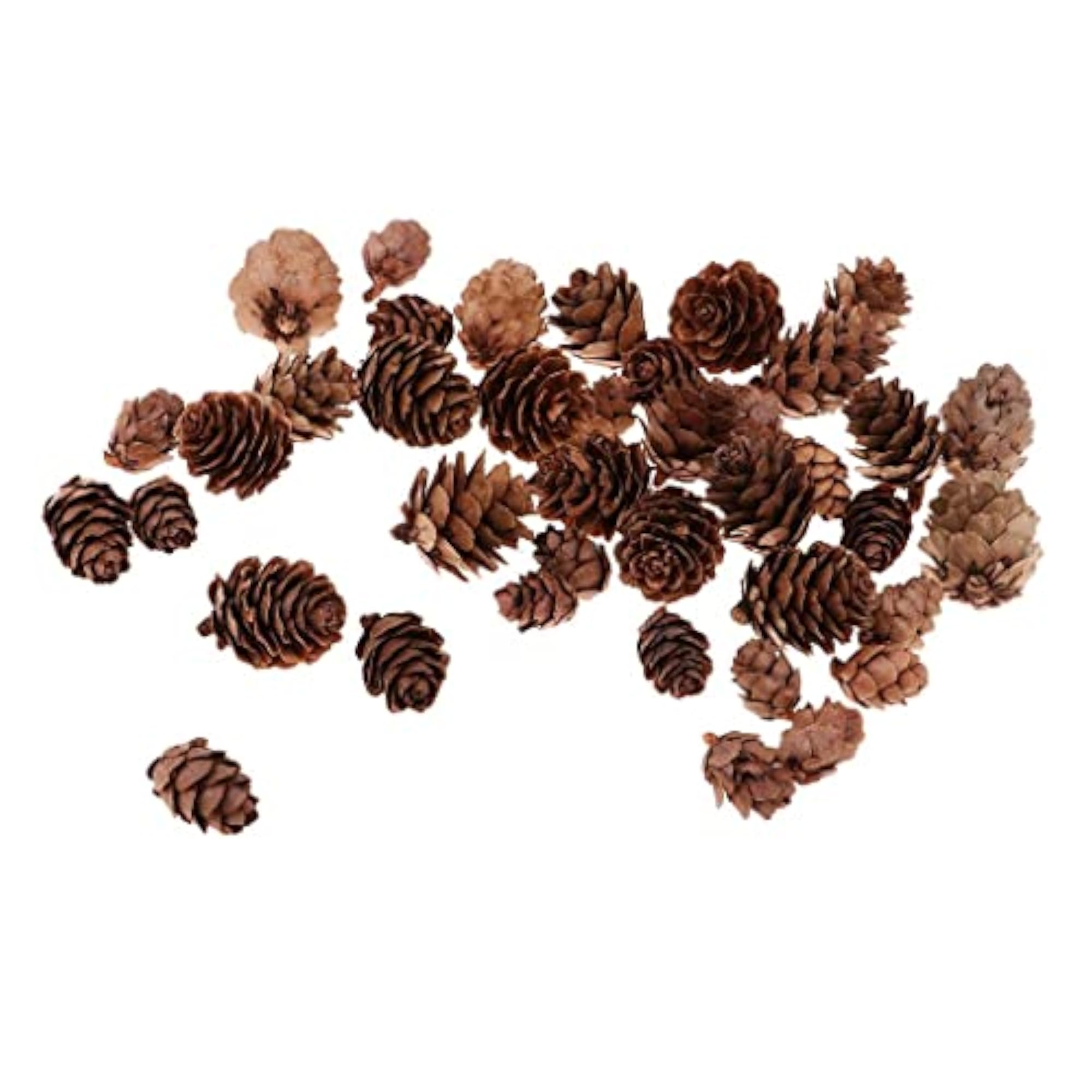 Mixed Size Mini Natural Rustic Dried Pine Cones, 50pcs
