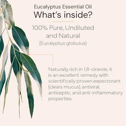 Image of Sore Throat Spray + Eucalyptus Inhaler Combo | Natural Relief for Sore Throat, Cold & Cough | Organic Eucalyptus Essential Oil | Herbal Throat Spray for Kids & Adults | Fast Acting, Chemical Free