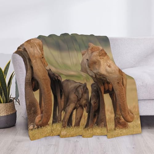 Couverture en flanelle éléphant 125x100 cm douce pour lit et canapé