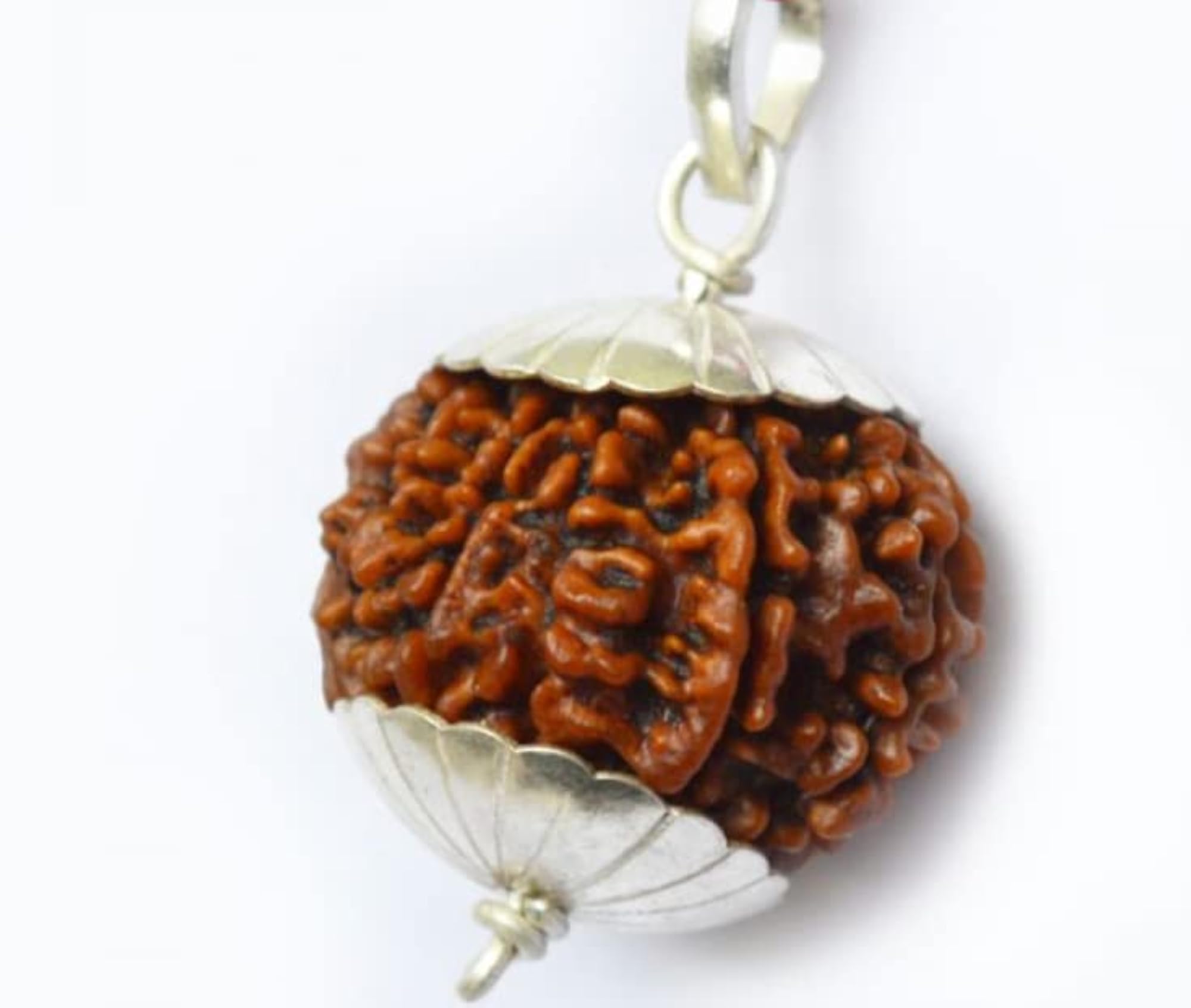 SreeGems 10 Mukhi Rudraksha Original Certified Nepal