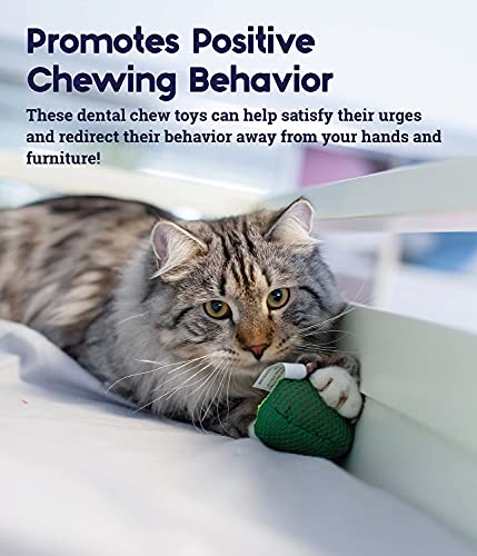 Catstages Lil' Avocato Dental Health Catnip Cat Chew Toy #TOP2