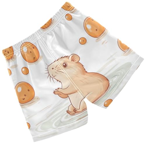 Pigsaly Boys' Swim Board Shorts Funny Capybara Oranges Boy's Swim Trunks Kids Swimwear XS2