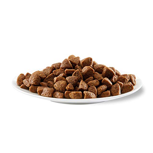 Applaws Aliments secs pour chiens de petite et moyenne taille, sans céréales, à saveur naturelle de poulet - 2 kg (Lot de 1) – Image 5