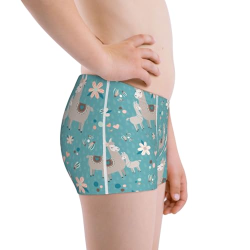 Boys' Cotton Boxer Brief Soft Underwear-Teal Mama Llama2