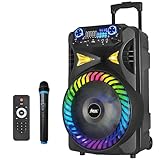 AEK CYBER S-12011 Bocina Bluetooth Grande 12 Pulgadas, Recargable Altavoces Speaker Control y micrófono, bafle Karaoke...