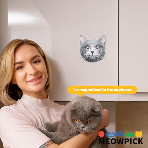 Image of MeowPick Needle Felting Kit with Cat Head Mold, Animals Needle Felting Set, DIY Wool Felt Materials Set with Felting Tool and Instruction for Quick Needle Felting Craft (Dragon Li)