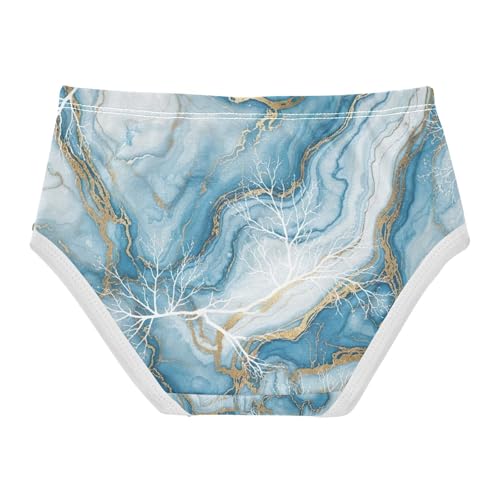 Toddler Panties, Blue White Marble Girls' Cotton Brief Underwear, 2–8 Years2
