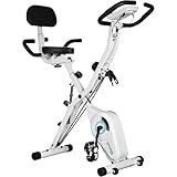 BARWING(バーウィング) フィットネスバイク スピンバイク トレーニングバイク 静音 折りたたみ 組み立て簡単 (1.通常モデル ホワイト) (08.Xモデル)