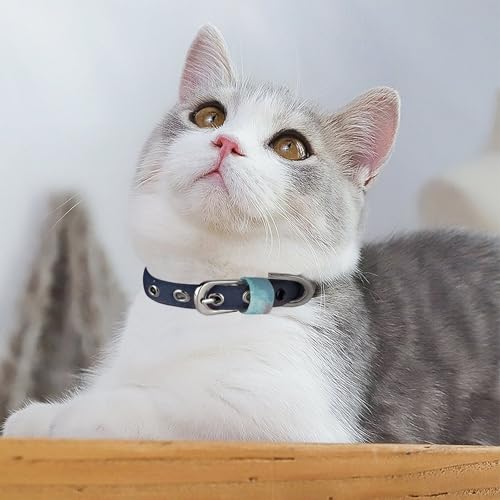 Collar ajustable para perro y gato color Space with Cluster miniatura 5