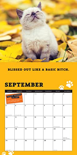 2023 Too F*Cking Cute Cats Wall Calendar: A Year Of D*Mn Adorable Kitties (Funny Monthly Calendar & White Elephant Gag Gift For Cat Lovers) (Calendars & Gifts To Swear By) #TOP6